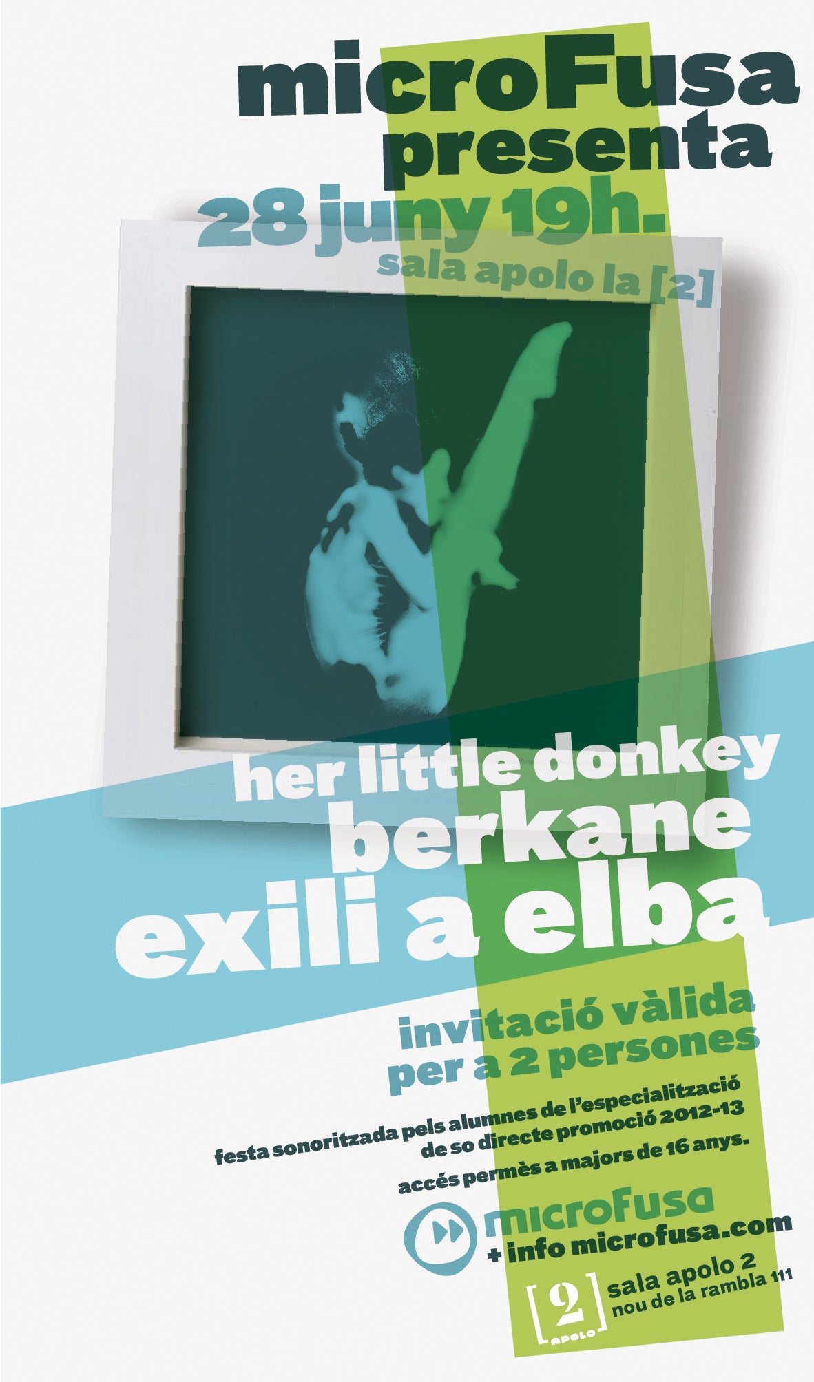 Cartaz Festa Microfusa 2013